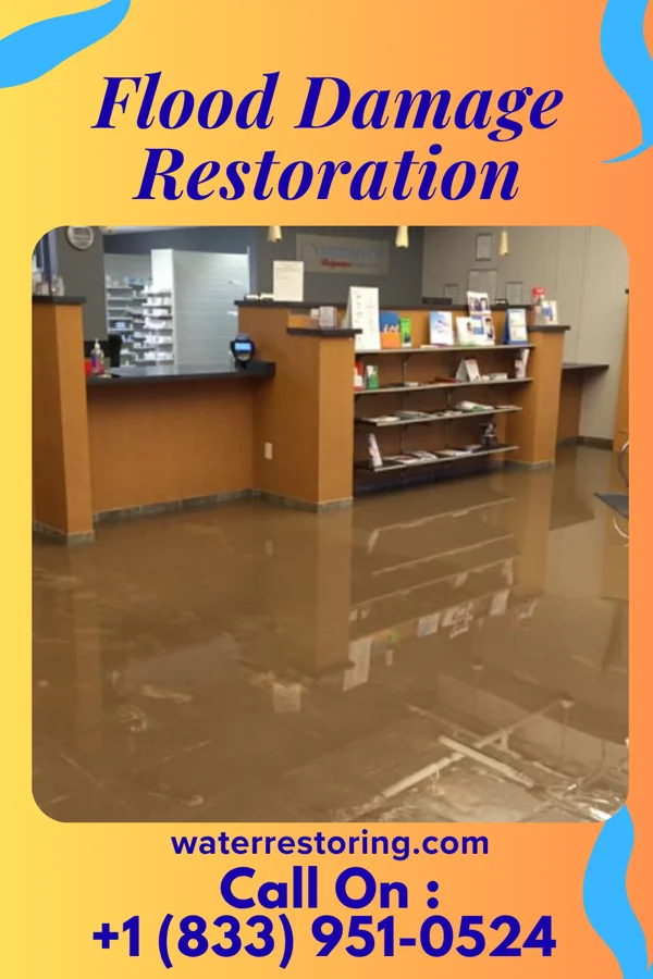 Flood Damage Restoration in Junction City, WI