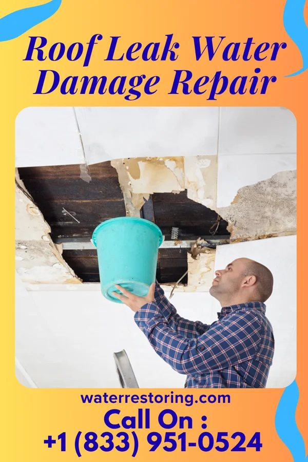 Roof Leak Water Damage Repair in Junction City, WI
