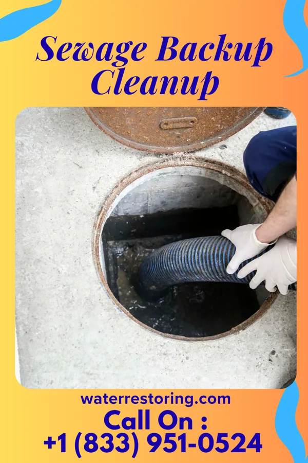 Sewage Backup Cleanup in Junction City, WI