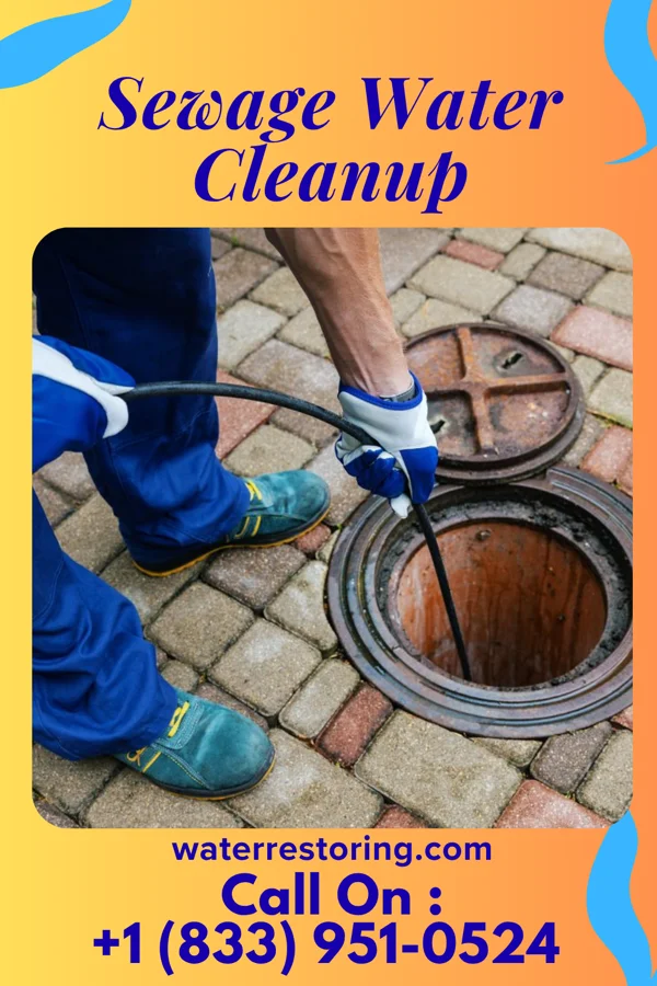 Sewage Water Cleanup in Junction City, WI