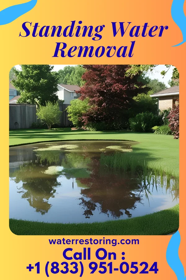 Standing Water Removal in Junction City, WI